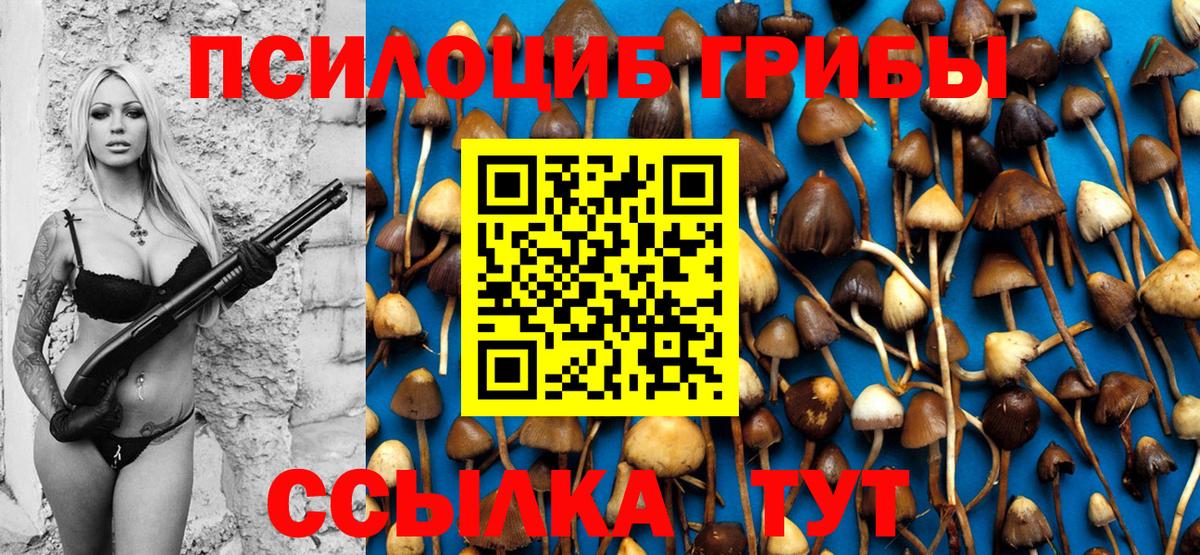 Псилоцибиновые грибы Psilocybine cubensis  Вход с VPN  Родники  Галлюциногенные грибы Psilocybe 